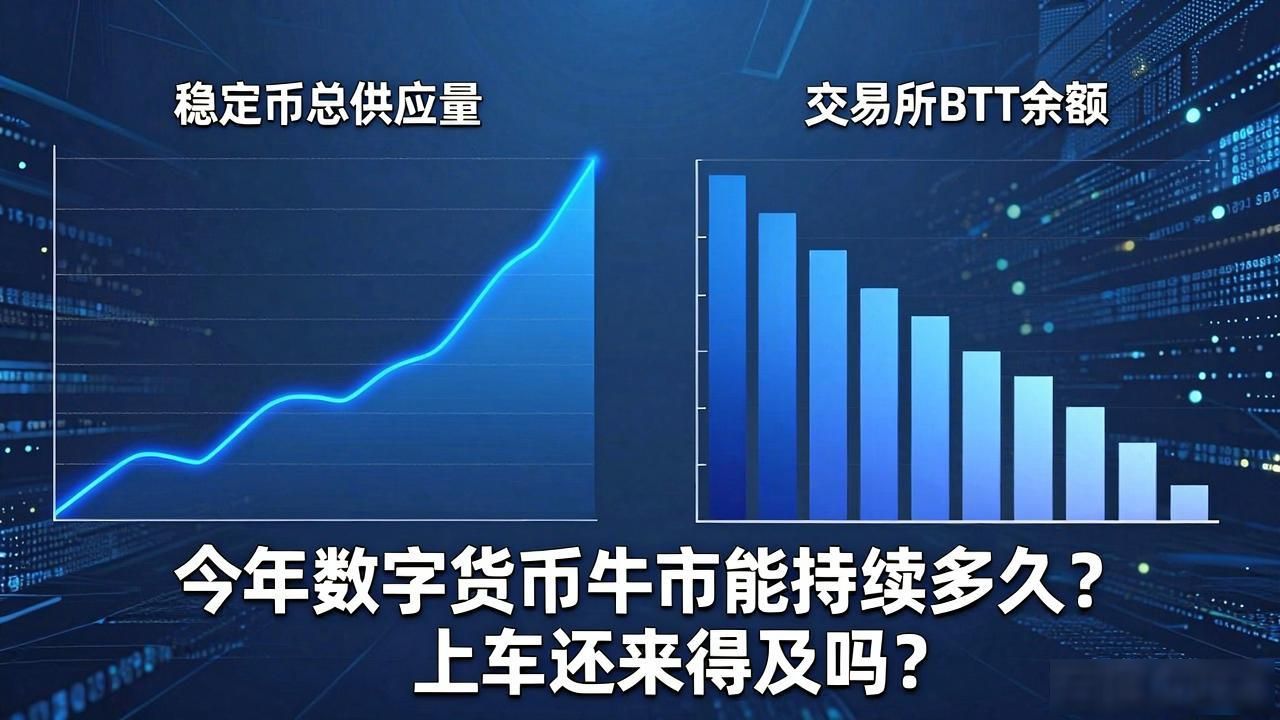 今年数字货币牛市特点_数字货币牛市核心驱动力_今年数字货币牛市